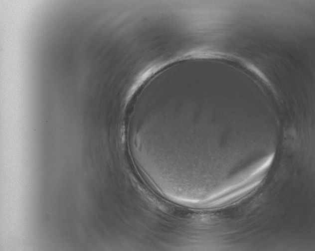 X0000080151461200612302115