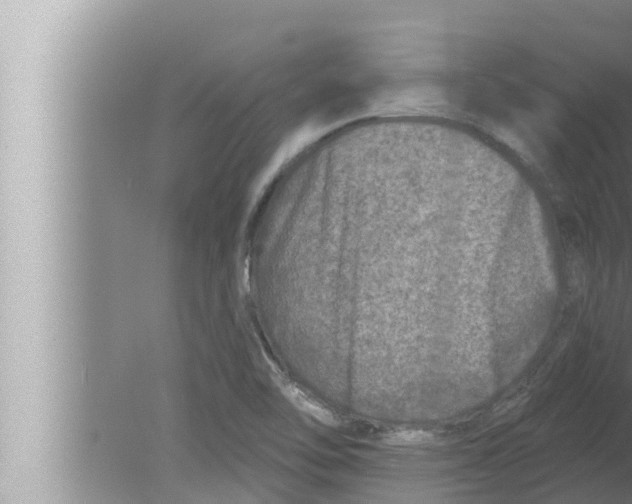 X0000080151462200612302115