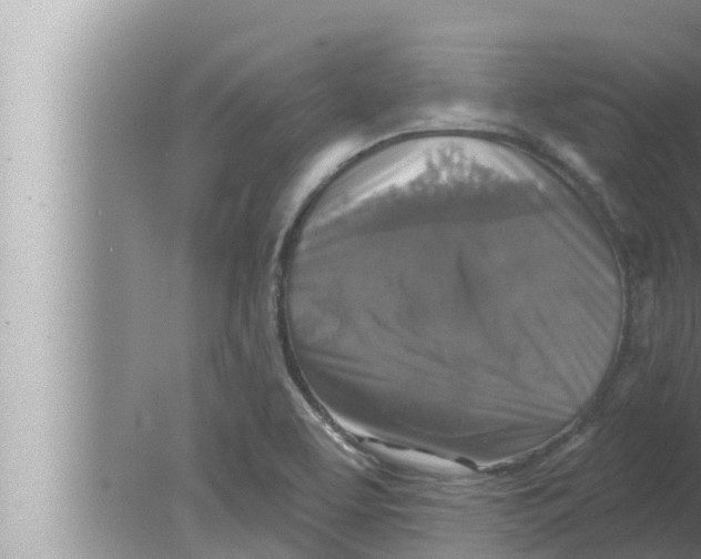 X0000080151463200612302115