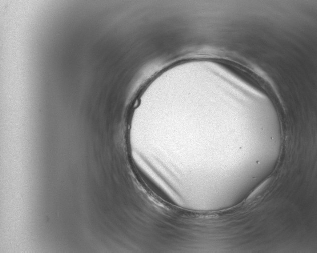 X0000080151464200612302115