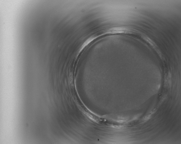 X0000080151465200612302115