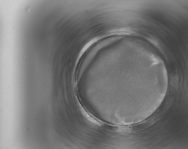 X0000080151466200612302115