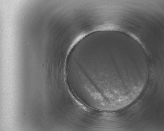 X0000080151469200612302115