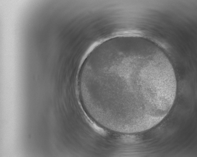 X0000080151470200612302115