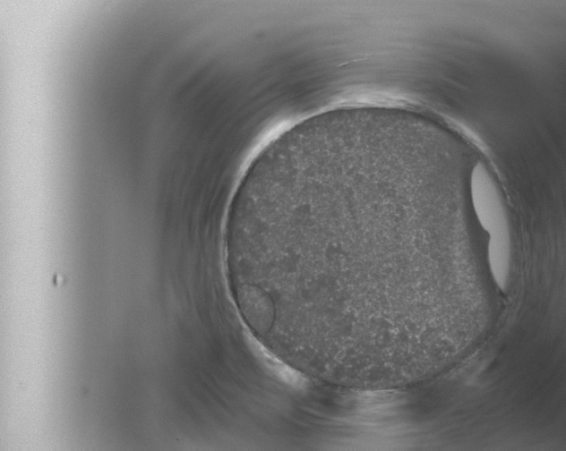 X0000080151471200612302115