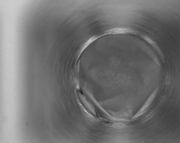 X0000080151473200612302115