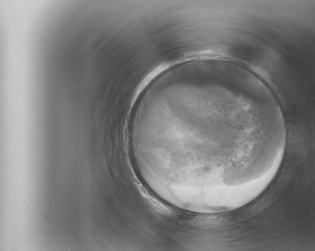 X0000080151474200612302115