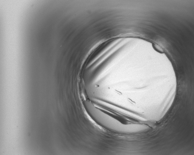 X0000080151476200612302115