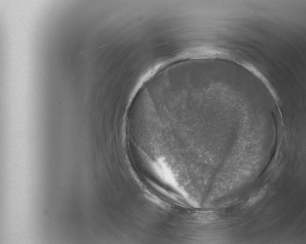 X0000080151477200612302115