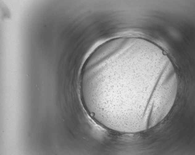 X0000080151478200612302115