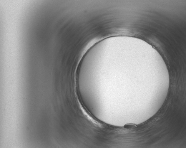 X0000080151479200612302115