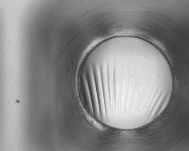 X0000080151480200612302115