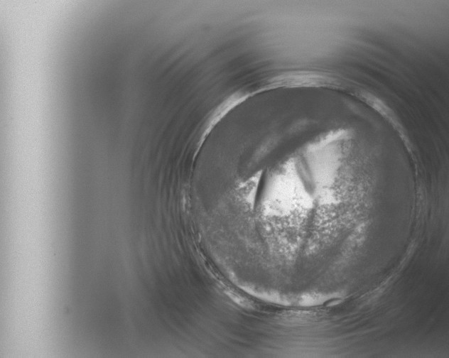 X0000080151481200612302115