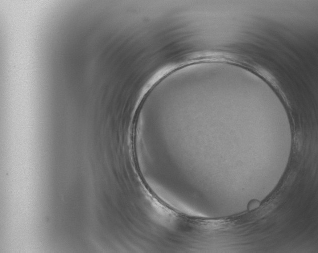 X0000080151482200612302115