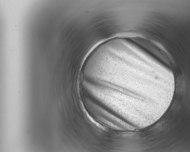 X0000080151484200612302115