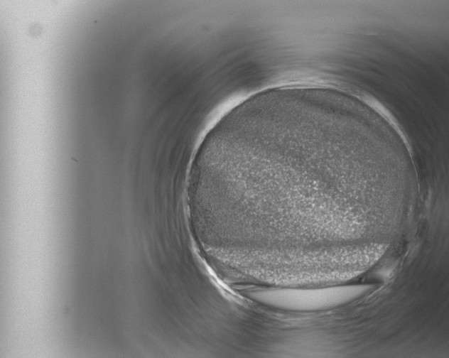 X0000080151485200612302115