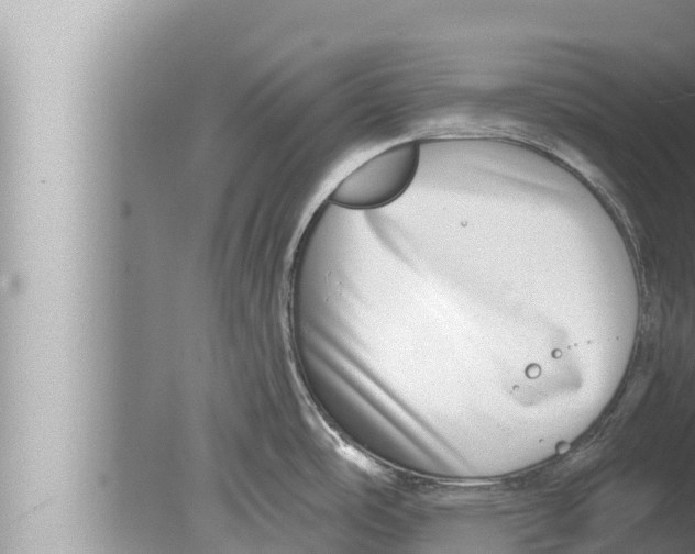 X0000080151486200612302115