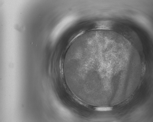 X0000080151487200612302115