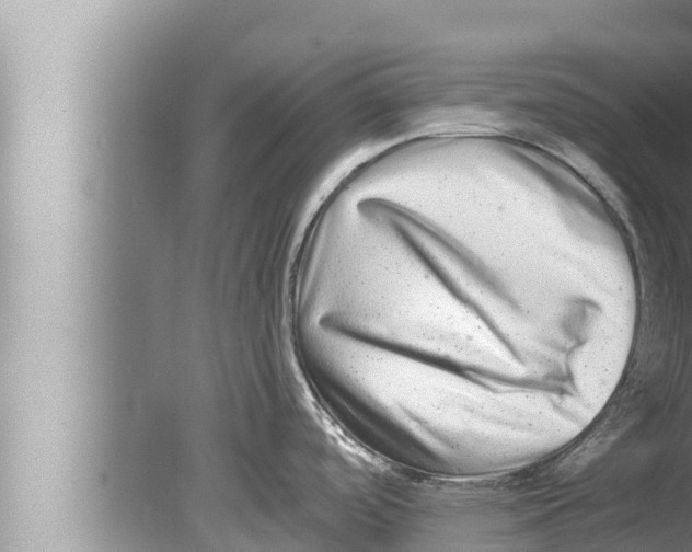 X0000080151488200612302115