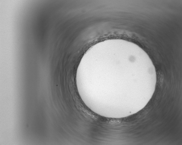 X0000080151489200612302114