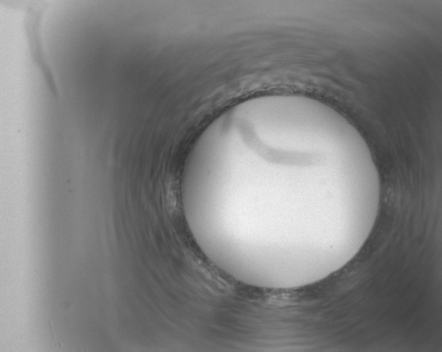 X0000080151490200612302114