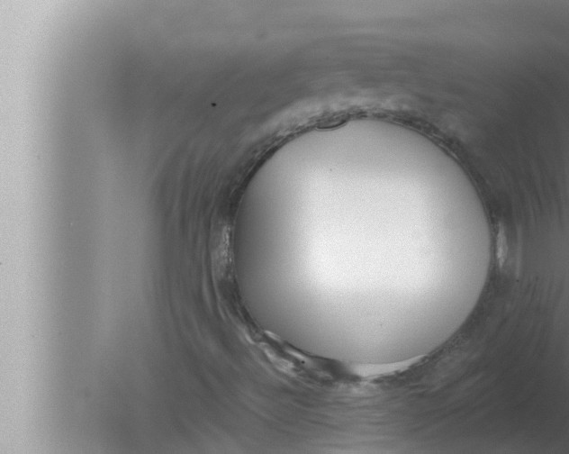 X0000080151492200612302114