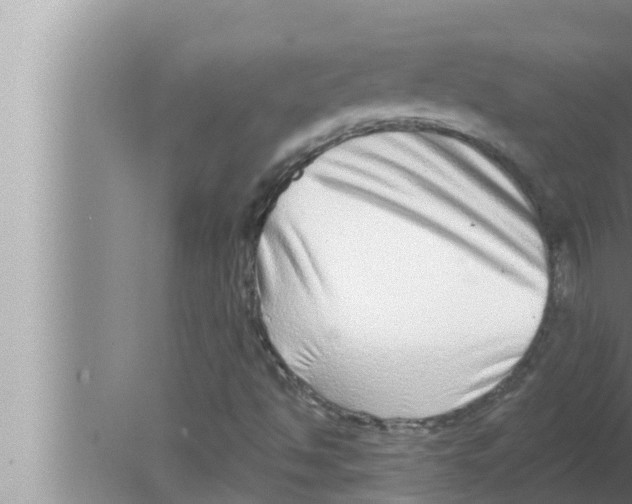 X0000080151494200612302114