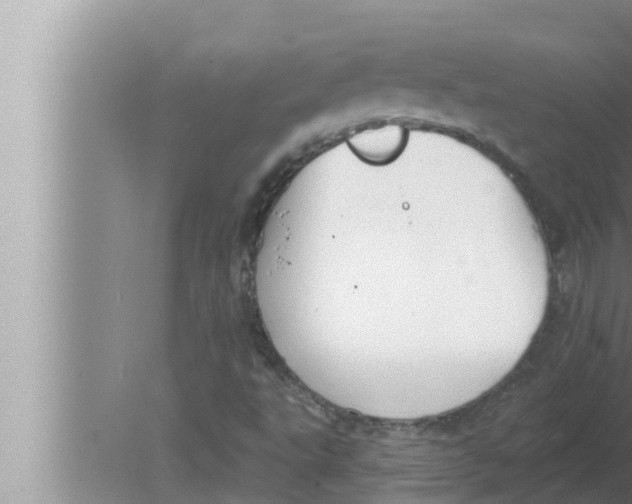 X0000080151495200612302114