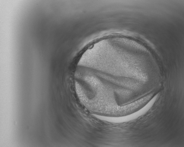 X0000080151496200612302114