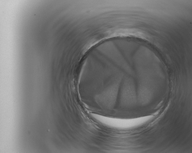 X0000080151497200612302114