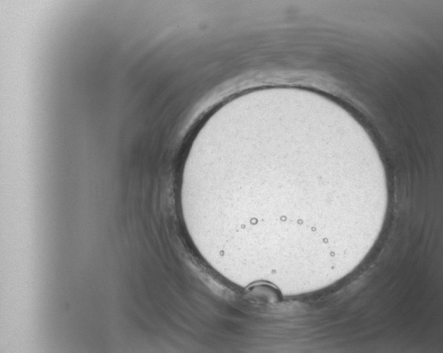 X0000080151498200612302114