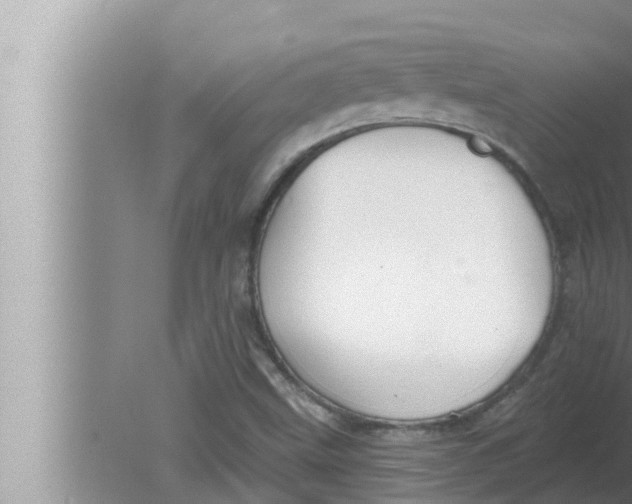 X0000080151499200612302114