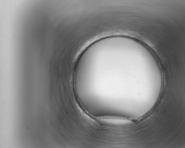 X0000080151500200612302114