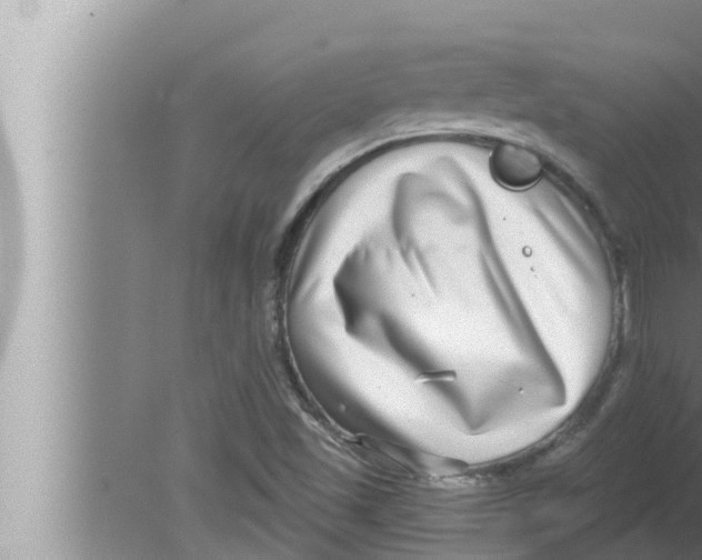 X0000080151501200612302114