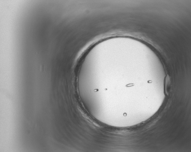 X0000080151502200612302114