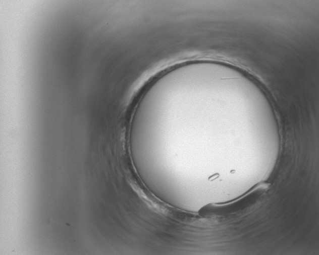 X0000080151503200612302114