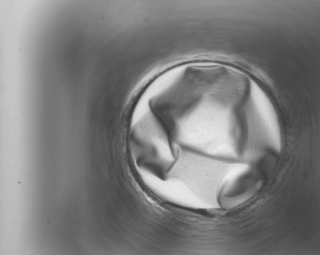 X0000080151504200612302114