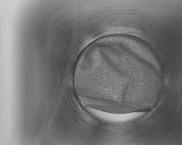 X0000080151505200612302114