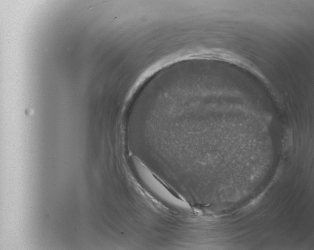 X0000080151506200612302114