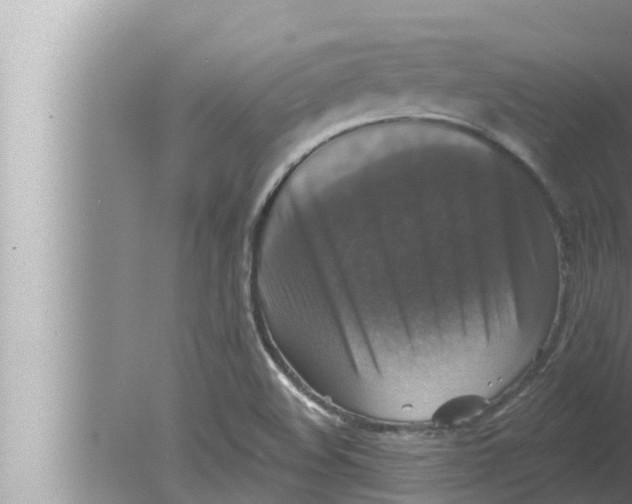 X0000080151508200612302114