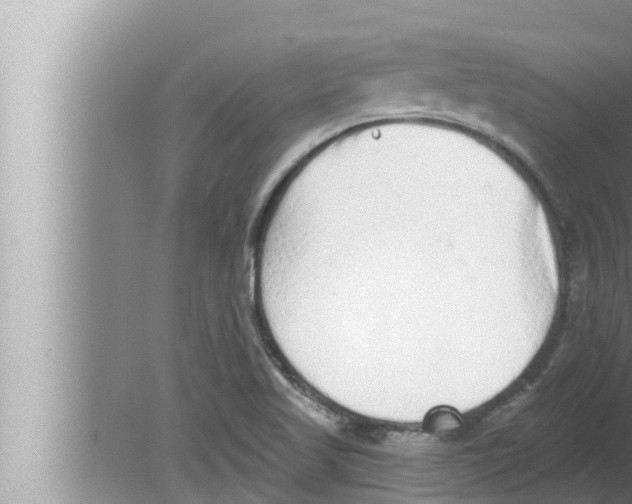 X0000080151509200612302114