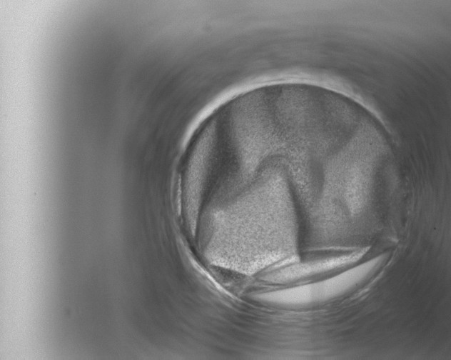 X0000080151510200612302114