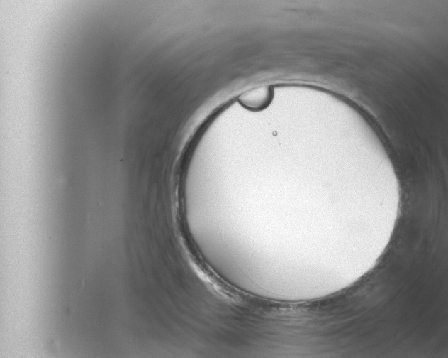 X0000080151511200612302114