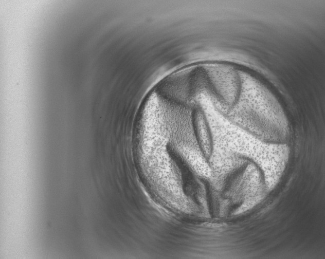 X0000080151513200612302114