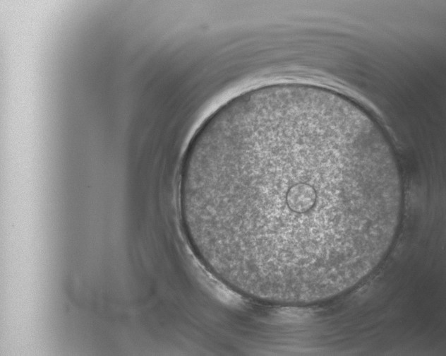 X0000080151514200612302114