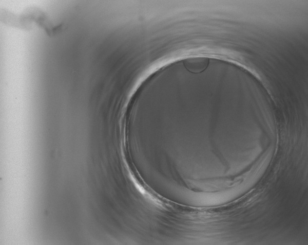 X0000080151515200612302114