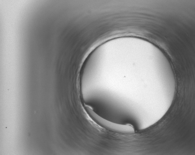 X0000080151516200612302114