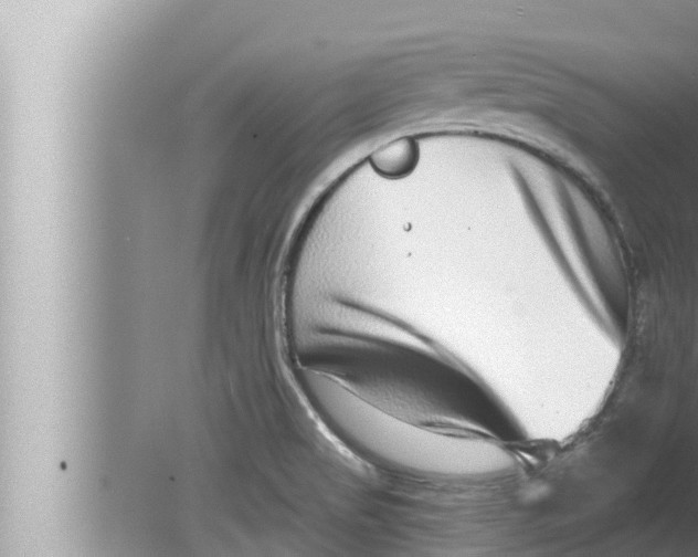 X0000080151517200612302114