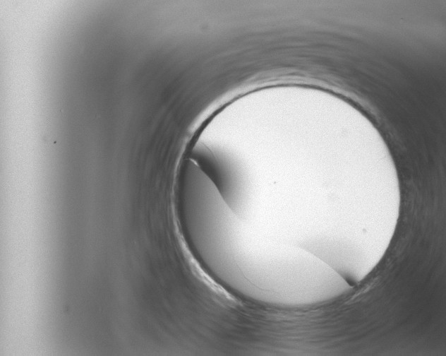 X0000080151518200612302114