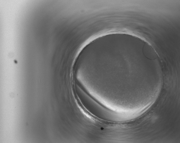 X0000080151519200612302114